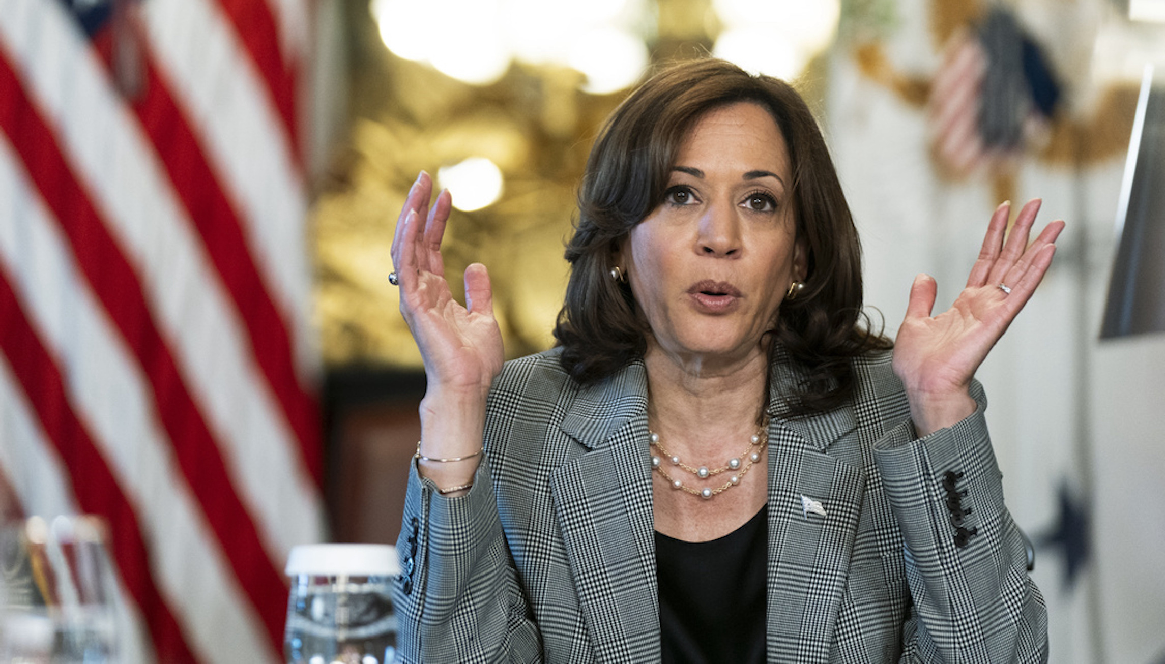 Kamala Harris’s mistake-filled week continues with call to ‘reduce population’