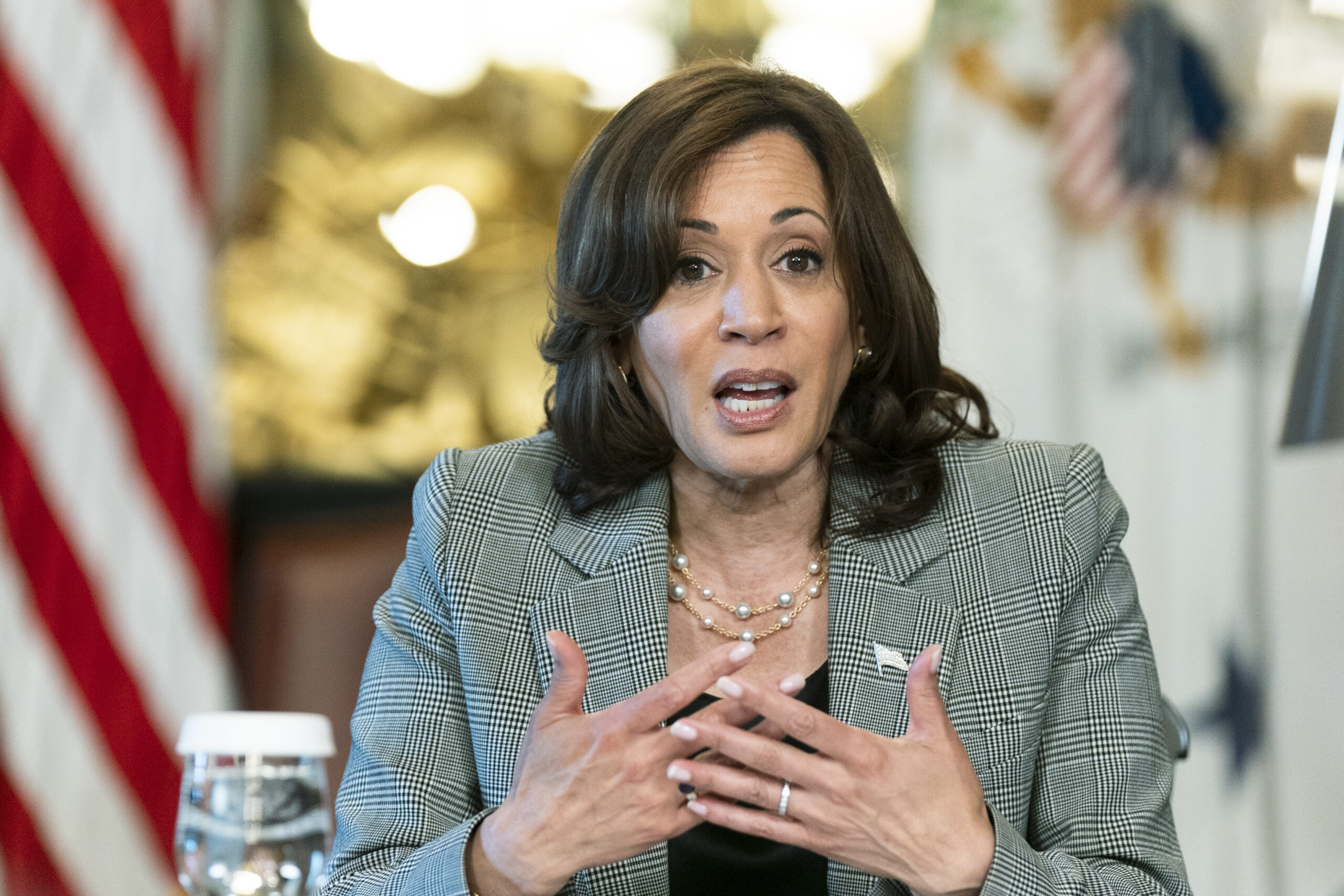 White House alters Kamala Harris’s transcript speech over ‘reduce population’ comment