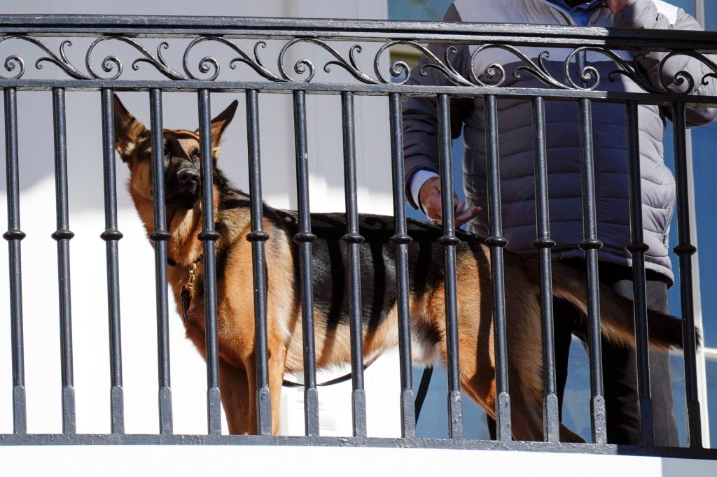 Joe Biden’s dog Commander bites another Secret Service agent