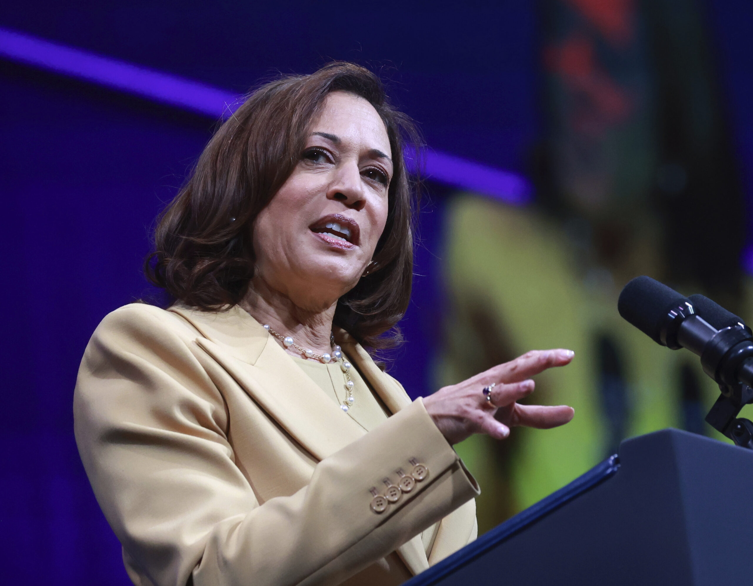 Harris courts Indo-Pacific partner with Biden on vacation