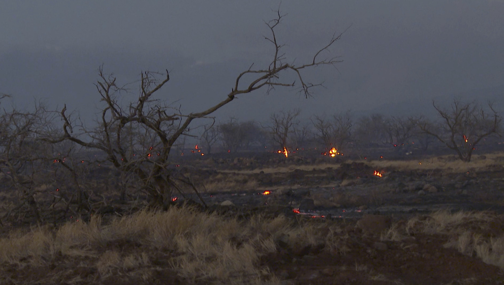 Maui County sues electric company for negligence over Lahaina wildfires