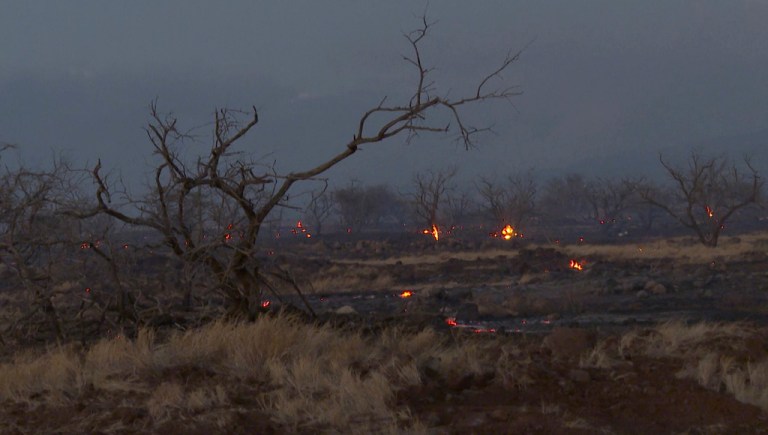 Maui County sues electric company for negligence over Lahaina wildfires
