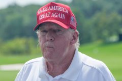Polling roundup: Trump has no realistic path to win a general election