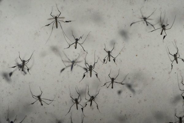 Class-action settlement: What to know about the $3.6 million Spartan Mosquito repellent settlement
