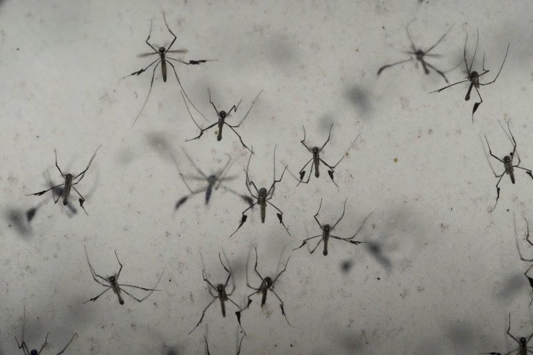 Class-action settlement: What to know about the $3.6 million Spartan Mosquito repellent settlement
