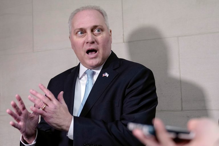 What is the speaker-designee, and does Steve Scalise have any powers?