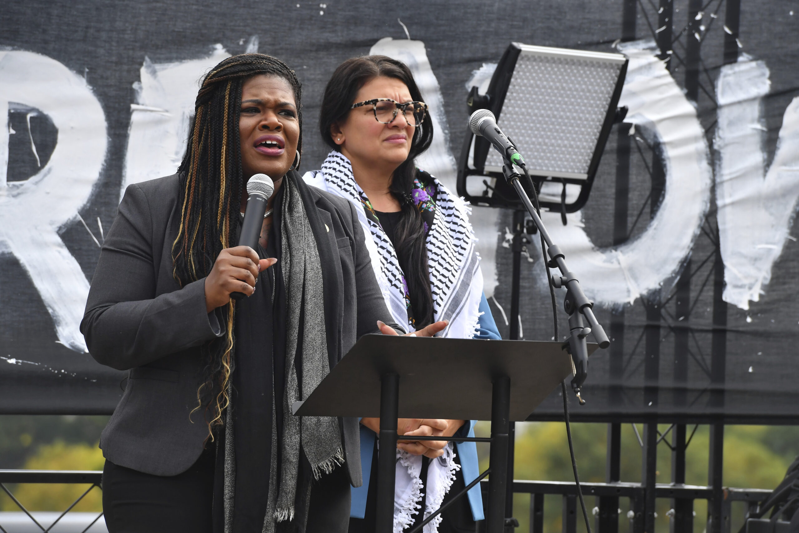 Getting progressively worse: Four top left-wing Democrats who have been slammed for Hamas comments