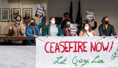 Israel war: Code Pink occupies Senate Democrat offices demanding Gaza ceasefire
