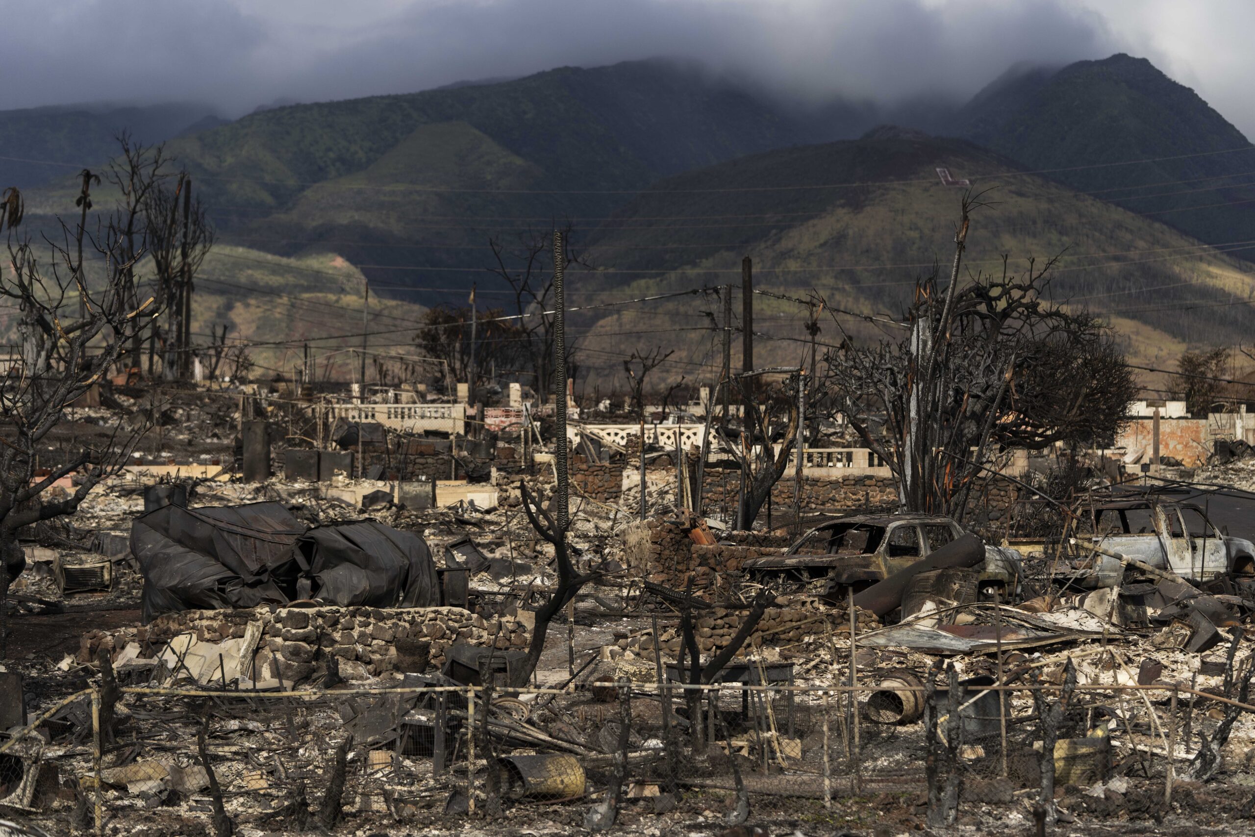 Hawaii Wildfires Governor
