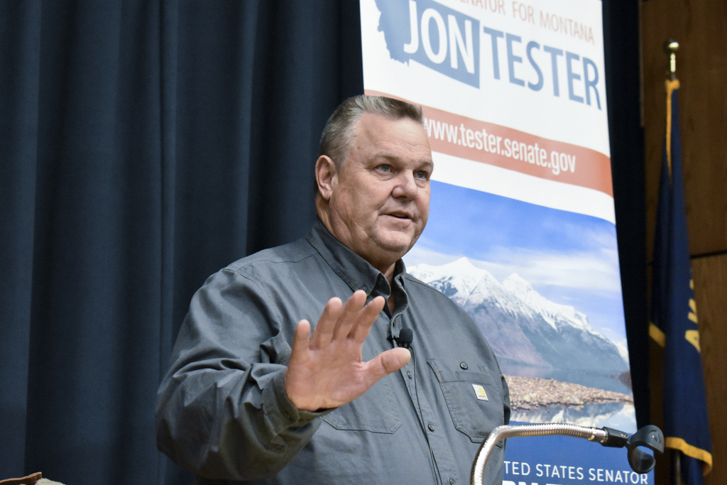 Election 2024 Senate Montana
