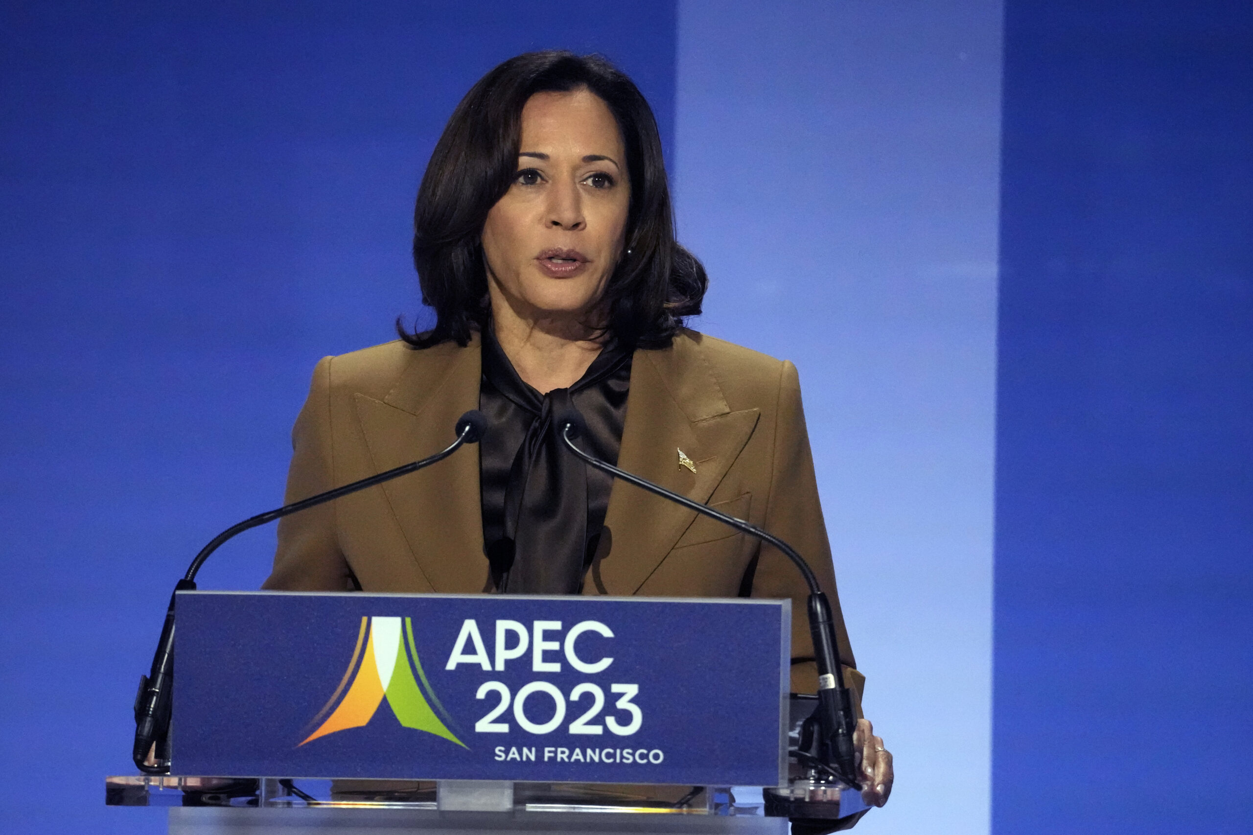 Kamala Harris says there is ‘no doubt’ she and Biden will have to ‘earn our reelect’
