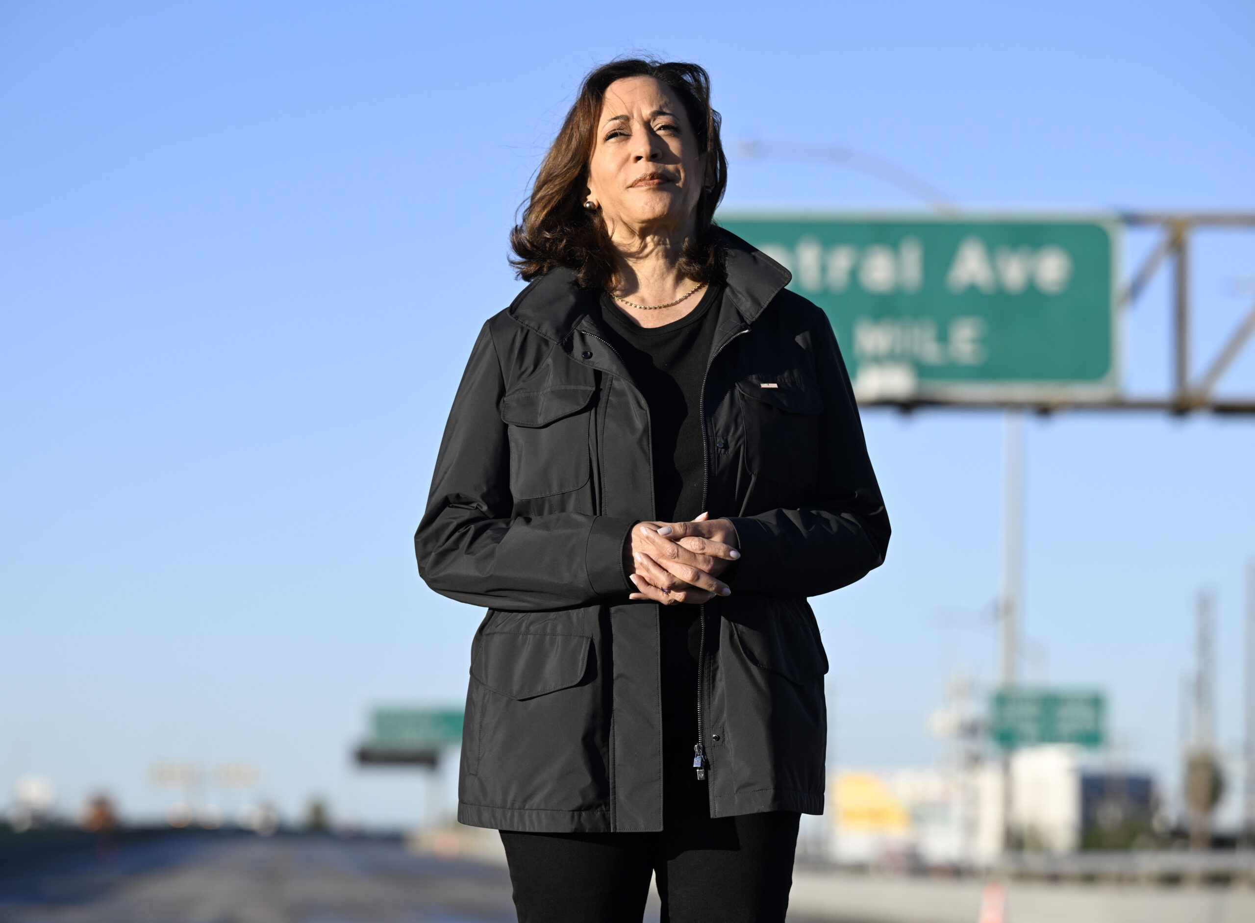 Kamala Harris slammed for Thanksgiving post featuring gas stove