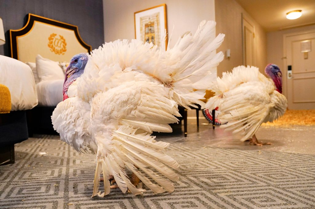 Report: Virginia’s Thanksgiving meal more expensive than national average