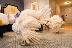 Report: Virginia’s Thanksgiving meal more expensive than national average