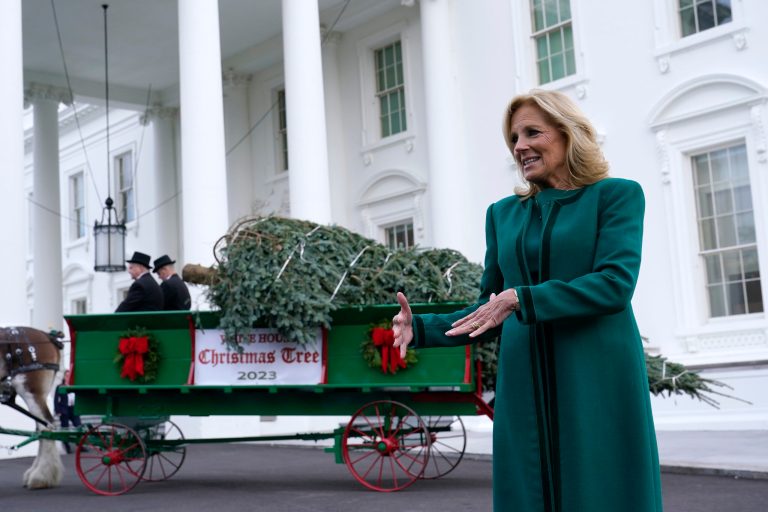 WATCH LIVE: Jill Biden reveals White House holiday decorations