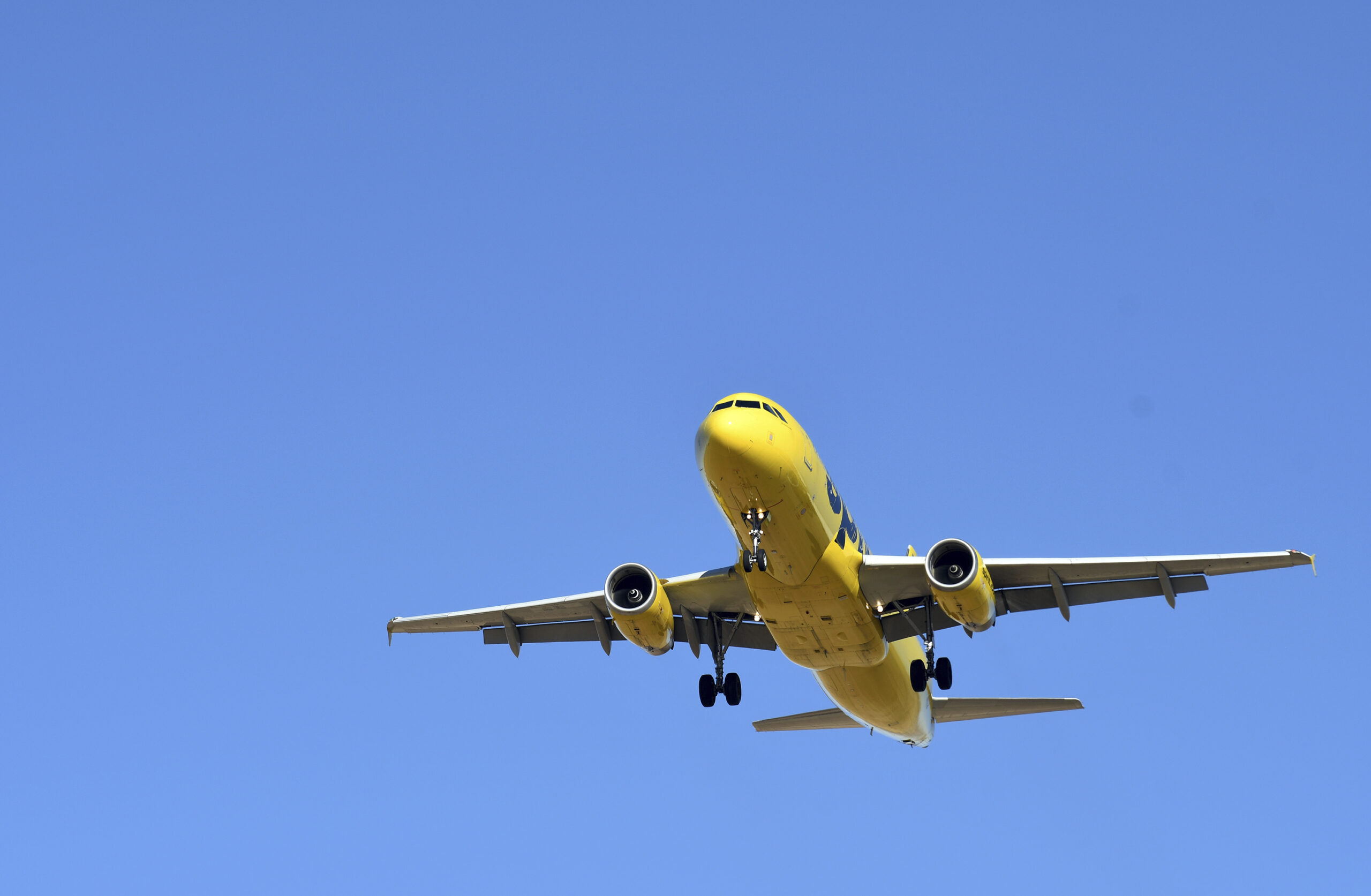 Holiday Travel Denver