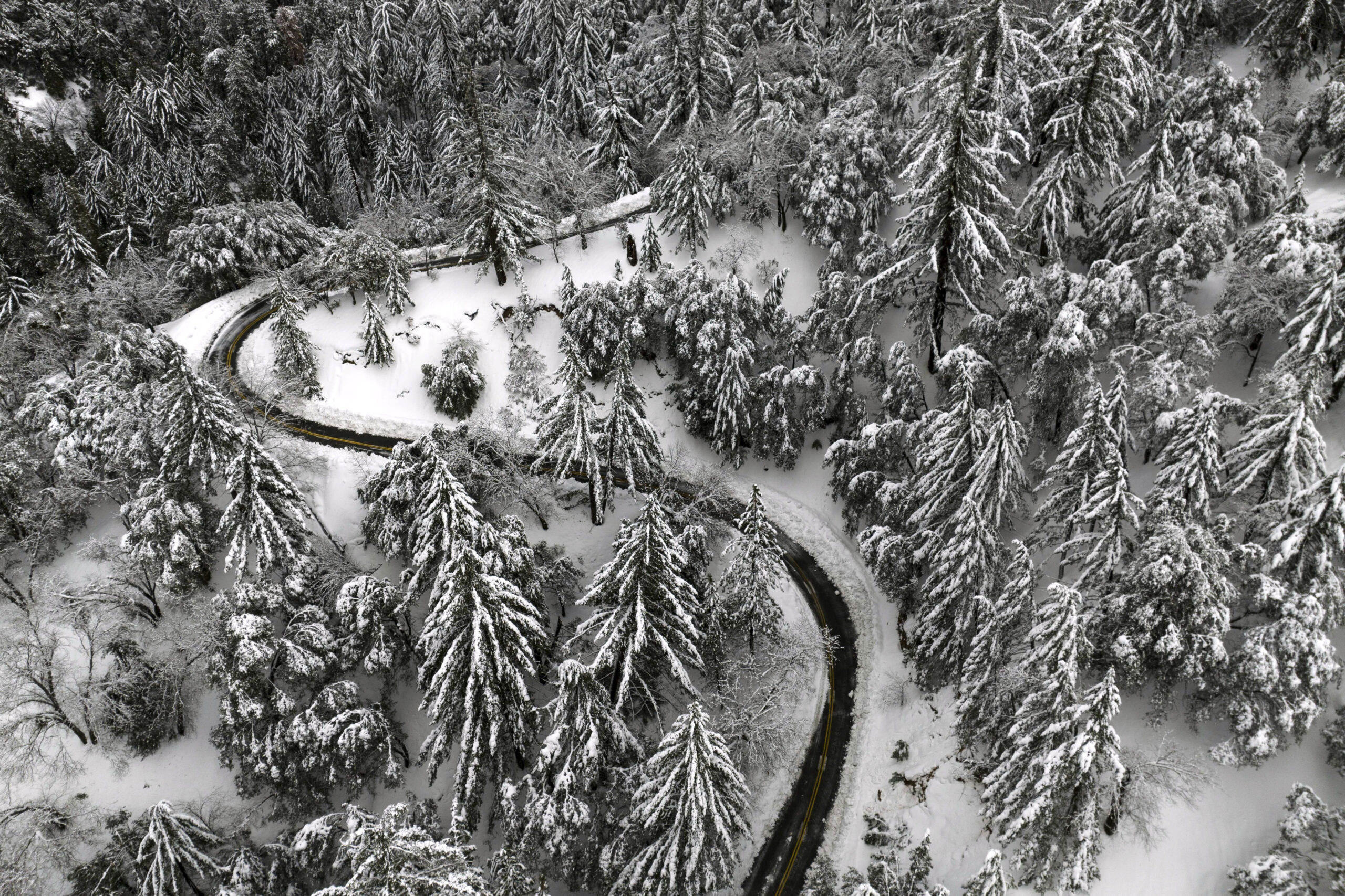 Snow place like home: Here’s where there’s a last-minute chance of a White Christmas