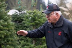 Drier Summers and warmer falls threaten winter’s Christmas trees