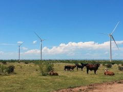 Texans could see utility sticker shock from GOP push against renewable energy