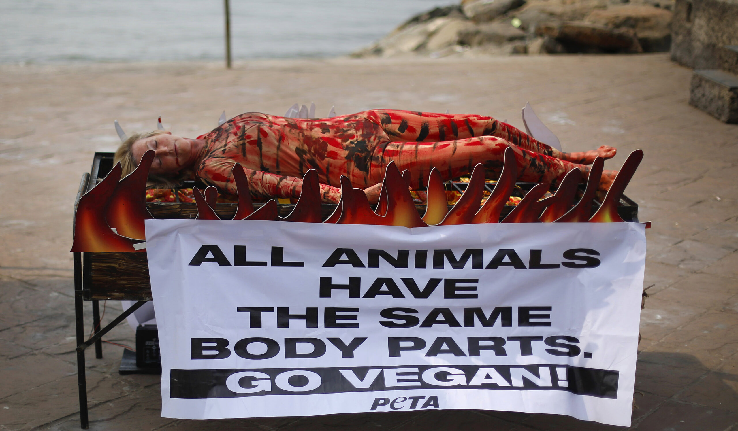 PETA wins a rare apology from feds