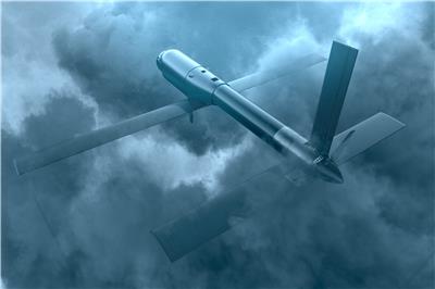 US sending 10 tank-busting Switchblade drones to Ukraine: Report