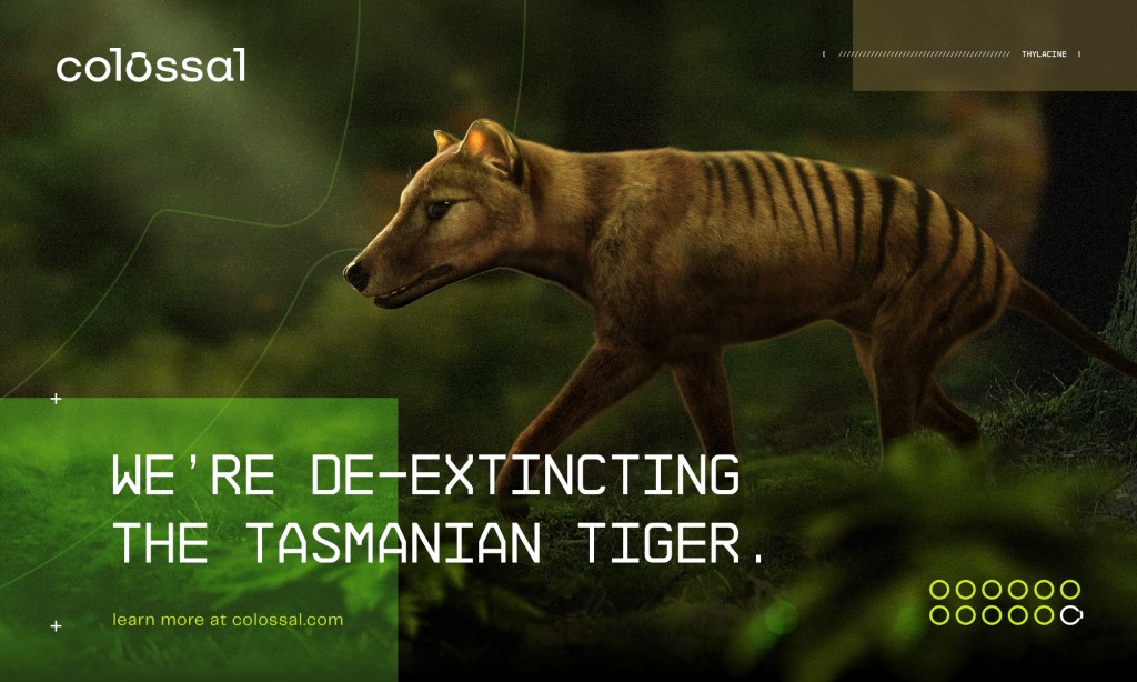 Scientists to resurrect extinct Tasmanian tiger