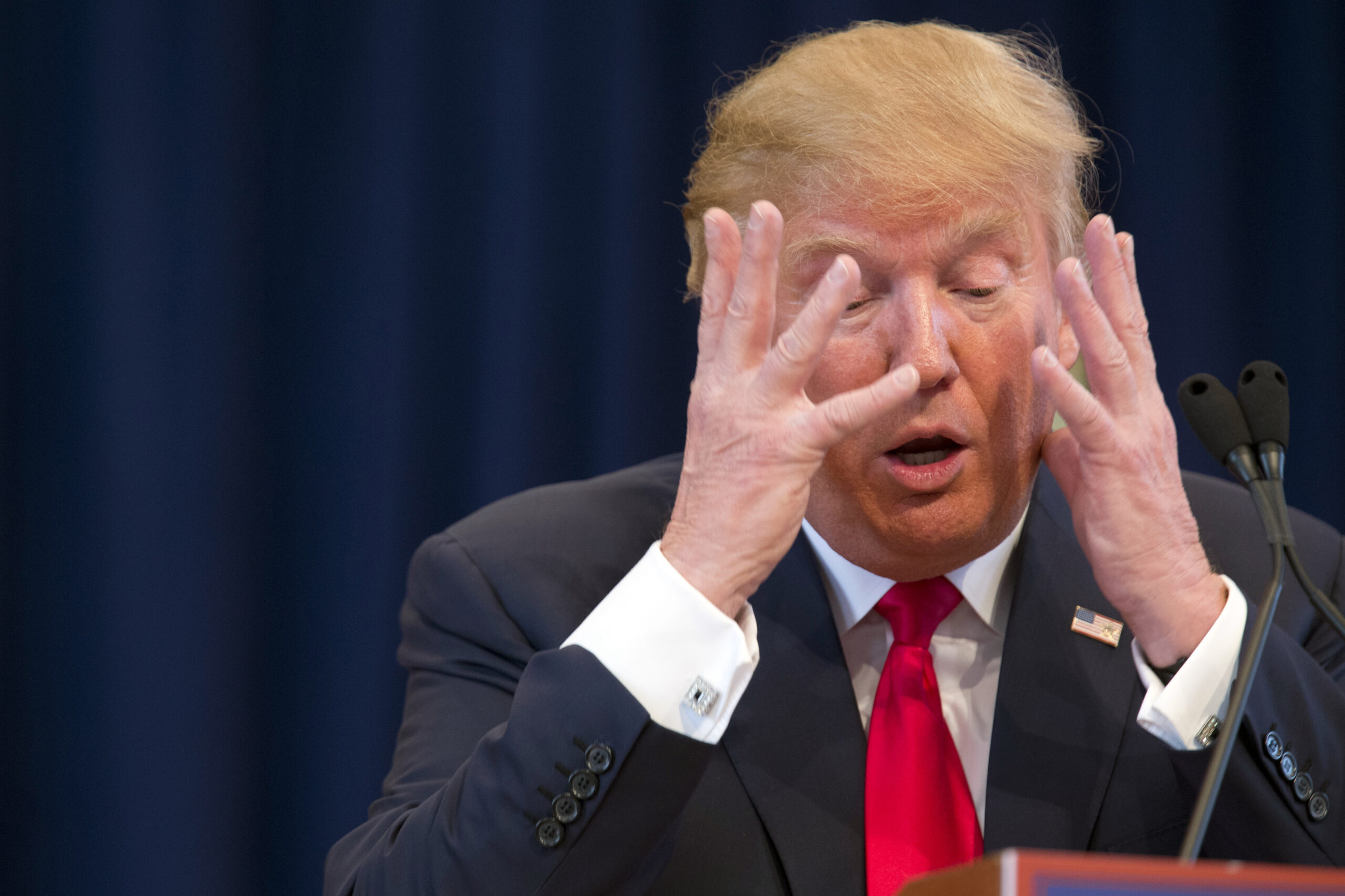 The great Trump goose chase