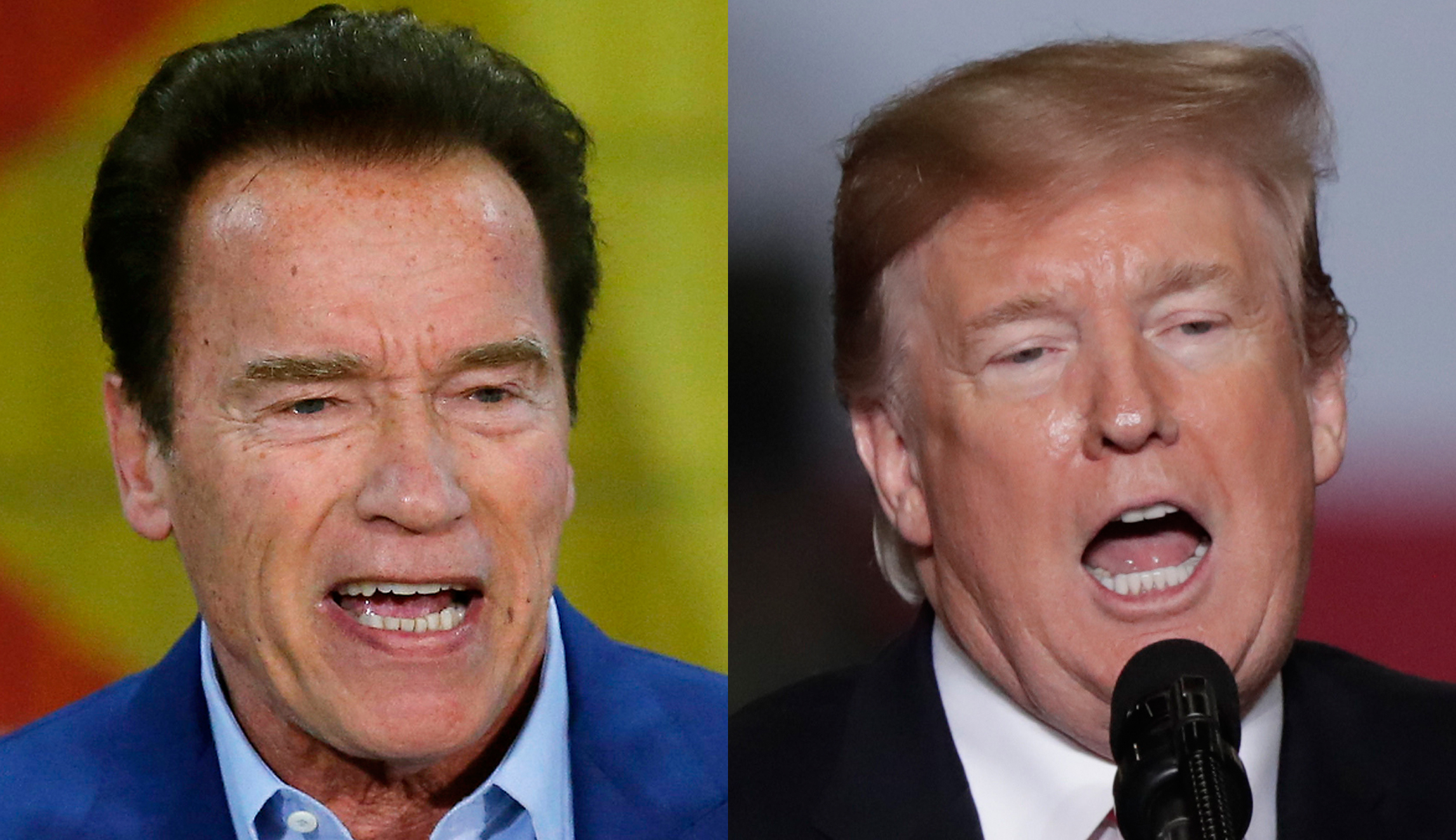 ‘He wants to be me’: Schwarzenegger responds to attacks from Trump