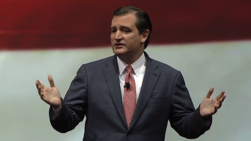 Ted Cruz calls for grassroots uprising: ‘Liberty is never safer than when politicians are terrified’