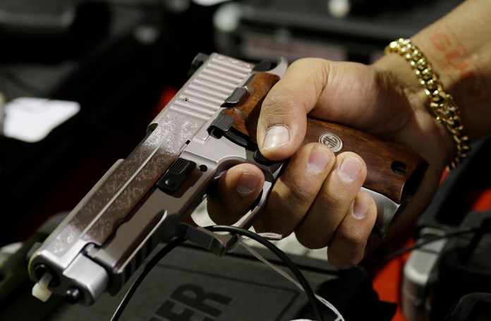 Early on in his speech, Obama briefly mentioned gun control and the supposed gender wage gap, including them on a "traditional list of proposals for the year ahead." (AP Photo/Lynne Sladky)