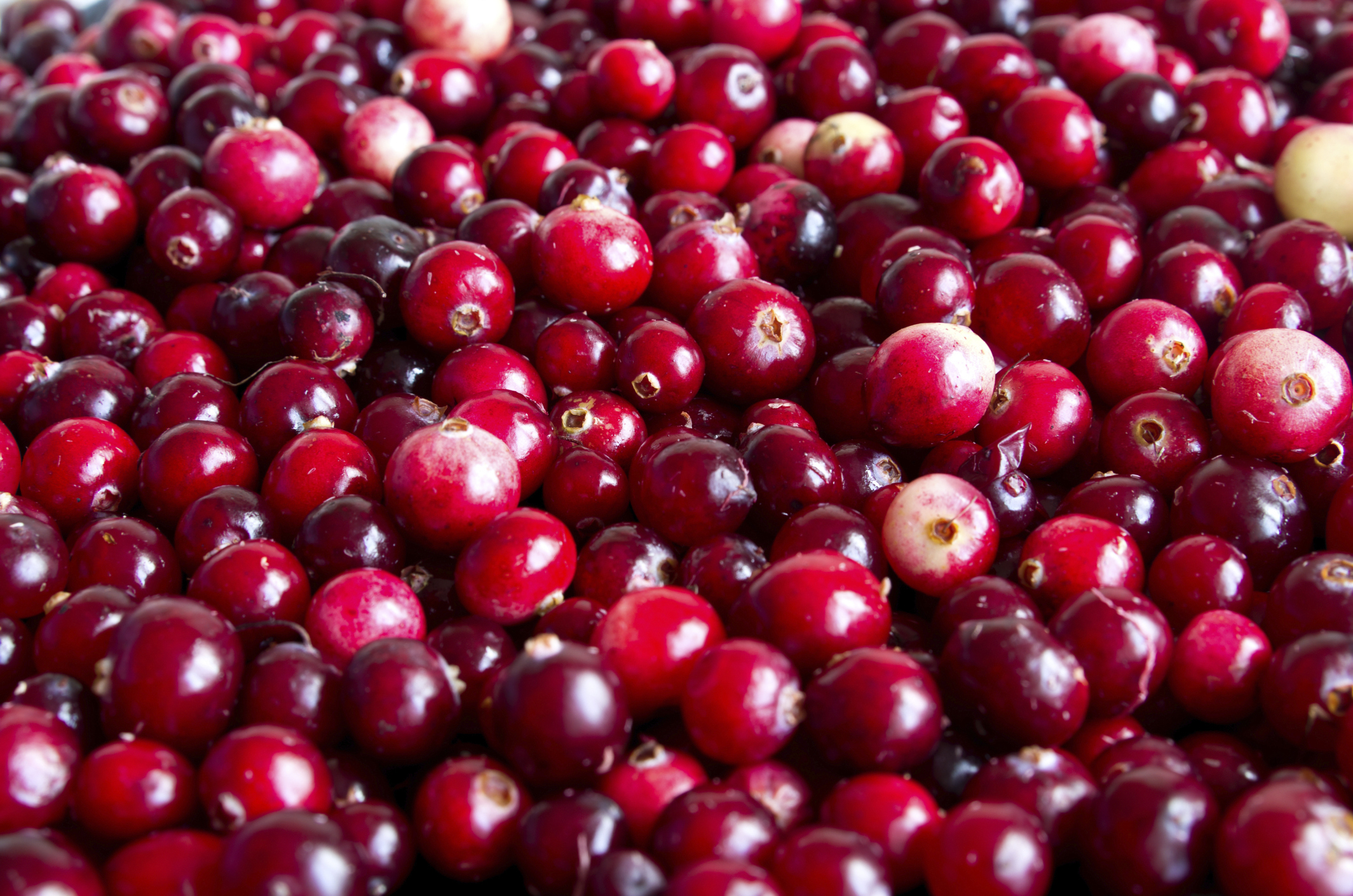 Wisconsin pols save cranberries from USDA, for now
