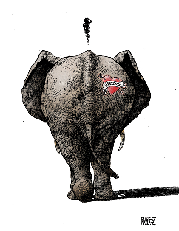 Elephant
