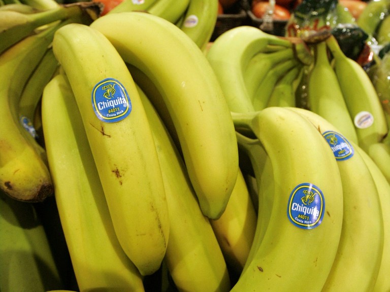 FILE - In this Aug. 3, 2005 file photo, Chiquita bananas are on display at a grocery store in Bainbridge, Ohio. Chiquita Brands on Monday, Aug. 11, 2014 received an approximately $611 million buyout offer from investment firm Safra Group and agribusiness and juice company Cutrale Group. (AP Photo/Amy Sancetta, File)