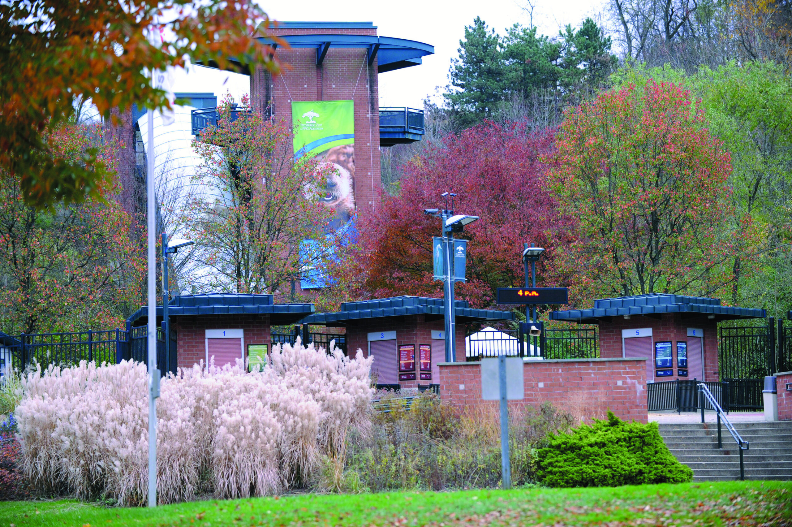 Pa. zoo: Wild dogs killed boy who fell in exhibit
