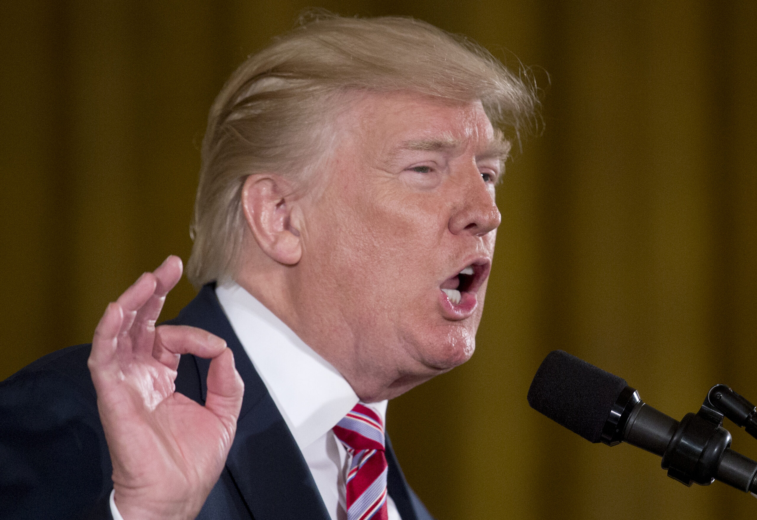 TrumpLaw: Activist judges making up law to ‘hobble Trump’