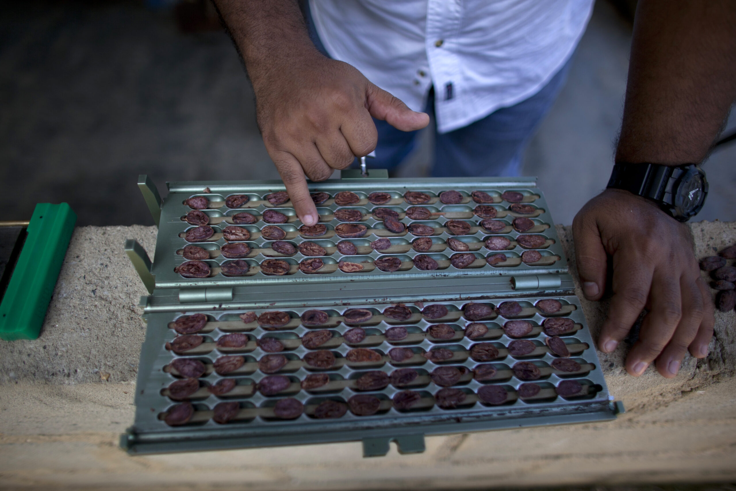 Venezuela chocolate king thrives despite controls