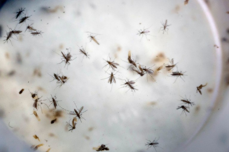 Lawmakers will vote on three measures offering various levels of funding to fight the virus. (AP Photo/Ricardo Mazalan, File)
