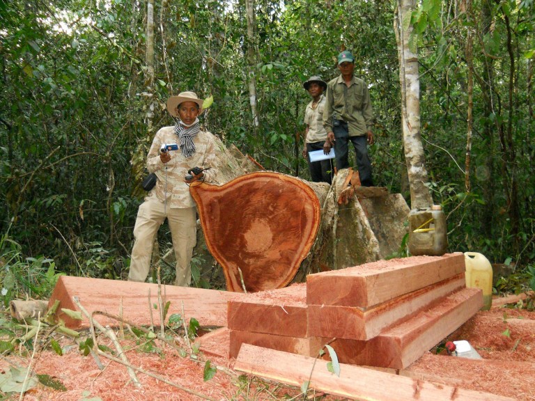 ADVANCE FOR DENIS GRAY'S THE TRAFFICKING STORY - In this photo taken, Feb. 6, 2012, released by The Cambodian Center for Human Rights (CCHR), Chut Wutty, left, stands next to a logging in a jungle in Kampong Thom province in northern of Phnom Penh, Cambodia.  Wutty was described as one of the few remaining  activists in Cambodia brave enough to fight against massive illegal deforestation by the powerful. (AP Photo/Courtesy of the Cambodian Center for Human Rights)