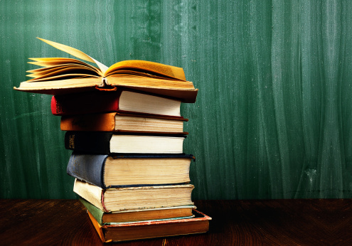 South Carolina lawmakers vote to punish colleges’ book choices with budget cuts