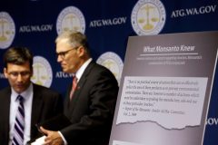 POLICY ROUNDUP