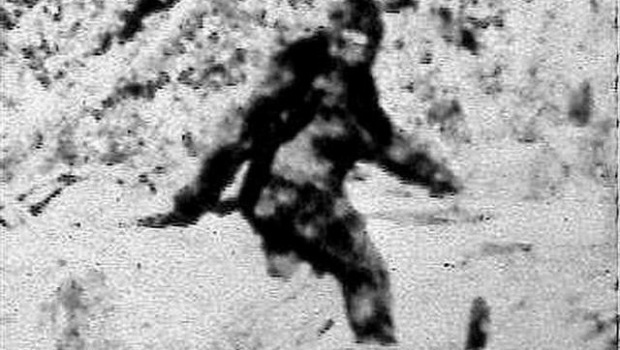 GOP senator: More believe in the fictional Bigfoot than Obamacare. AP Photo