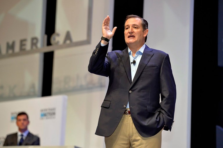 The move by Cruz is intended to pressure Donald Trump to release his own returns. (AP File Photo/Richard Shiro)
