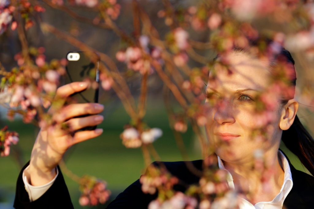 Festival draws millions, despite late blooms