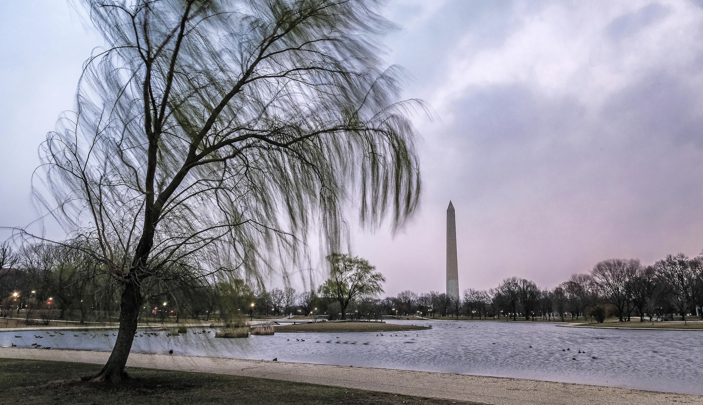 Wind storm wallops US Capitol, White House, the media, and places all across the DC area