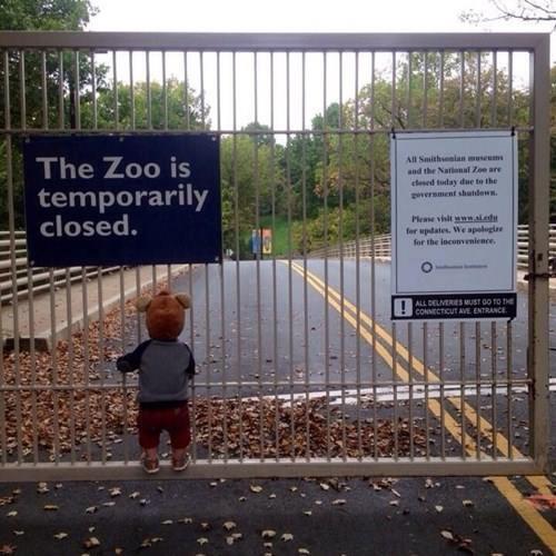32 ways the Internet reacted to the government shutdown