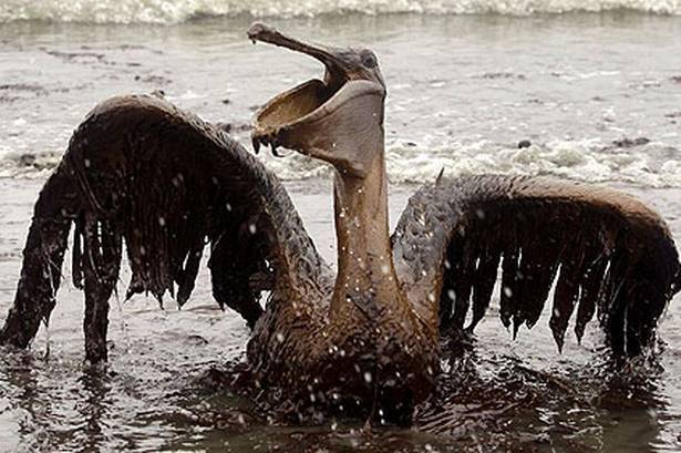 DOJ unveils first criminal charges in BP oil spill
