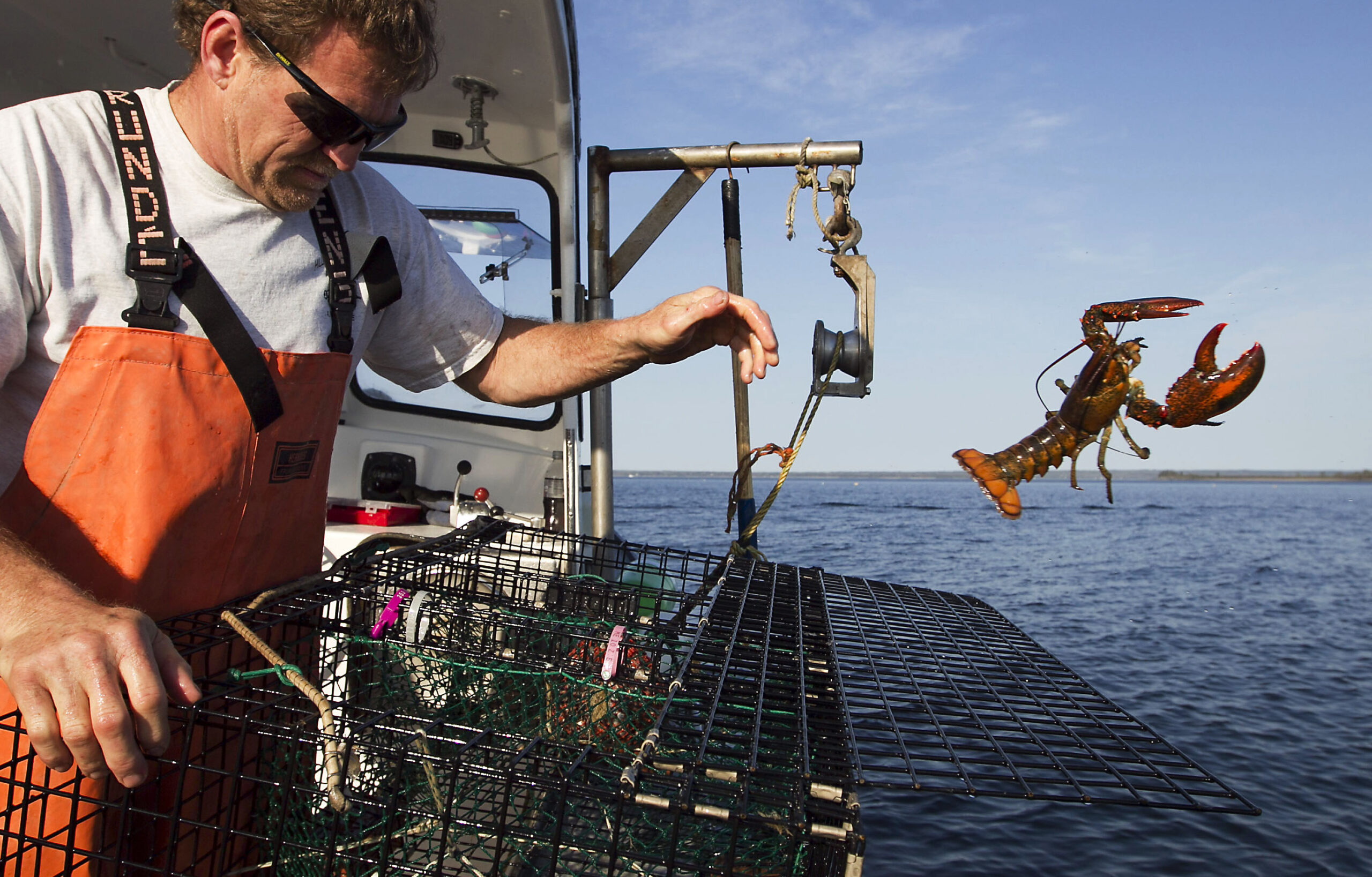 Feds weigh costly new regulation for Maine lobstermen
