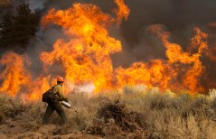 Lawmakers promise fresh push on wildfire bills after summer break