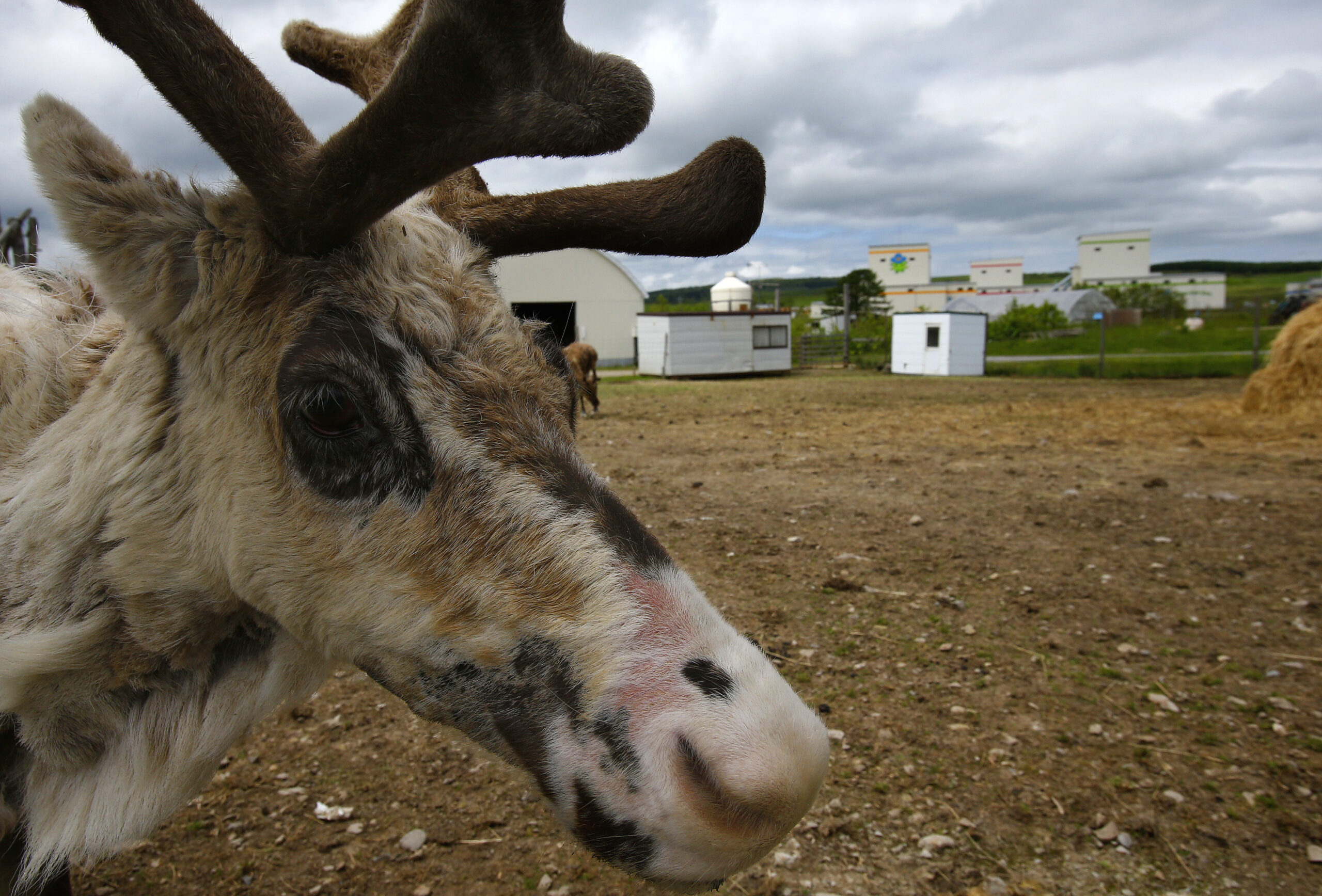Underground lab tackles Japan nuclear waste issue