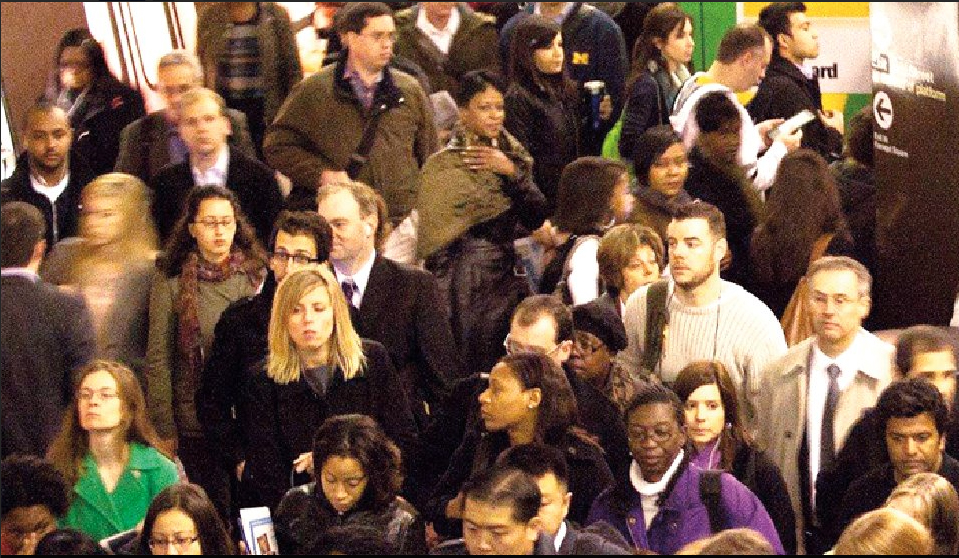 Your stories from the Washington Examiner